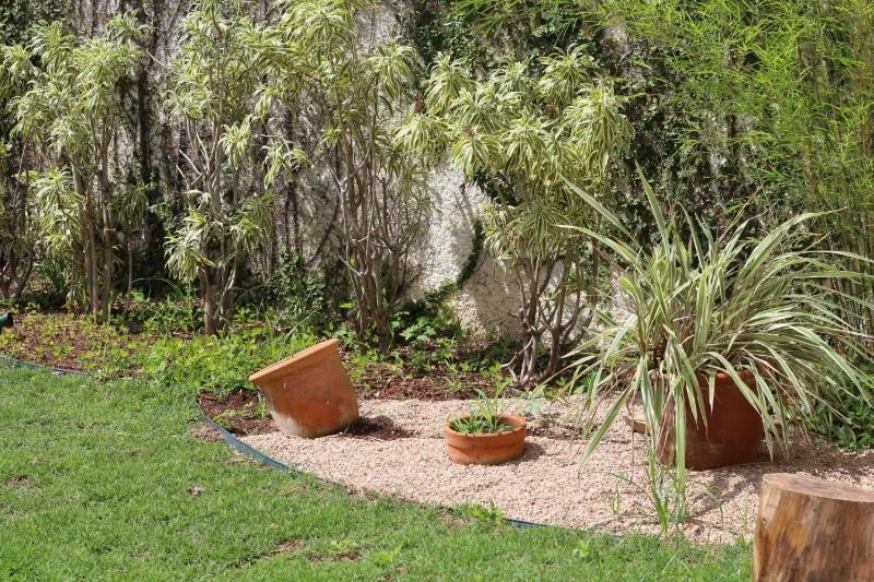 Casa De Campo Na Cidade Da Saúde Serra Negra  Exterior foto